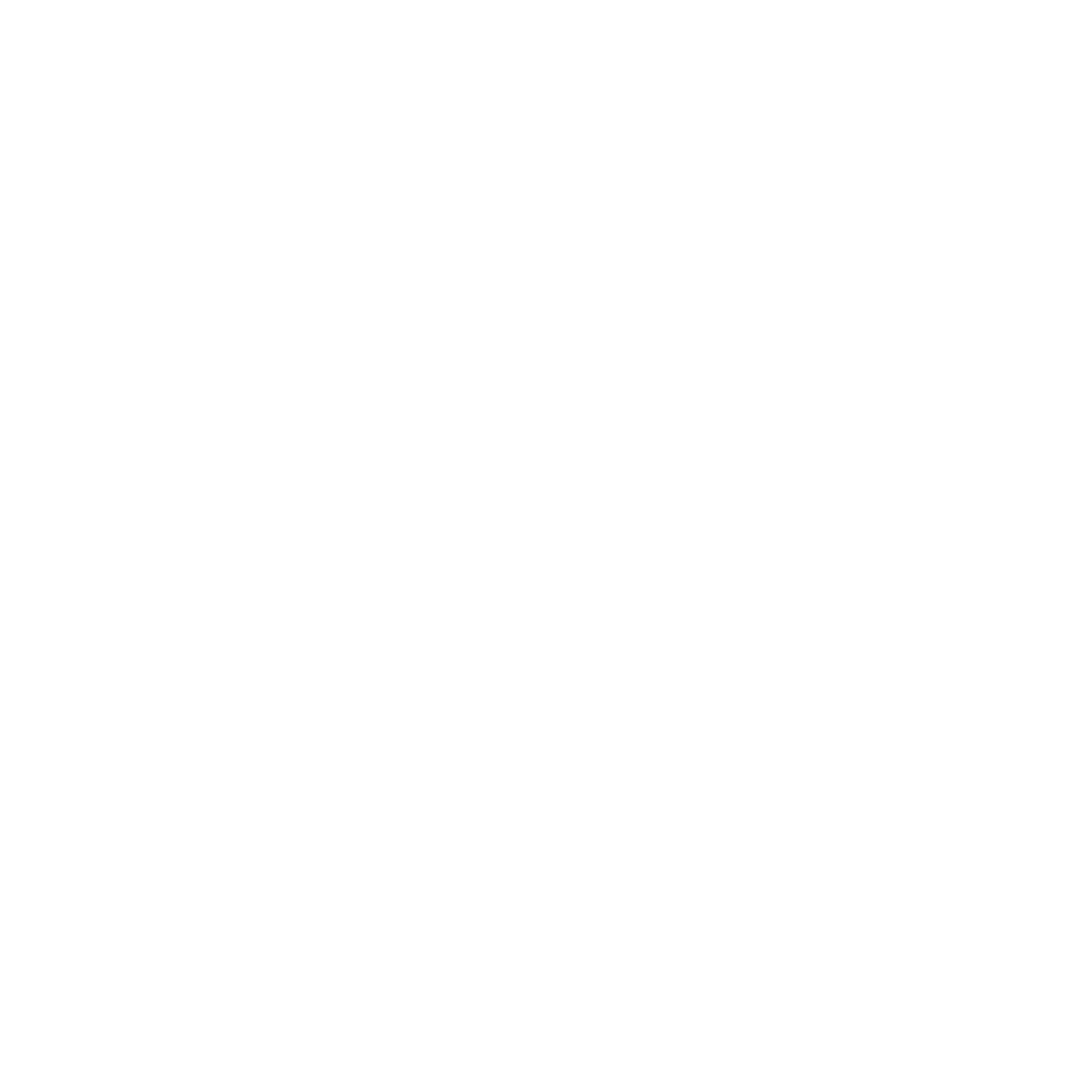 zaak.shop logo